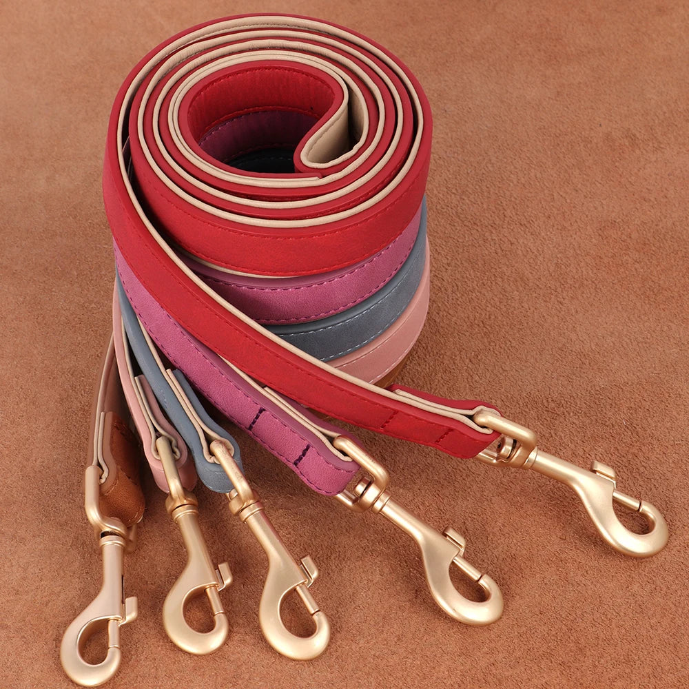 Laisse pour chien en cuir assortie aux colliers, coloris rose, bleu, rouge et marron