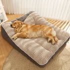 Matelas chien avec rebords moelleux LoungePaw™