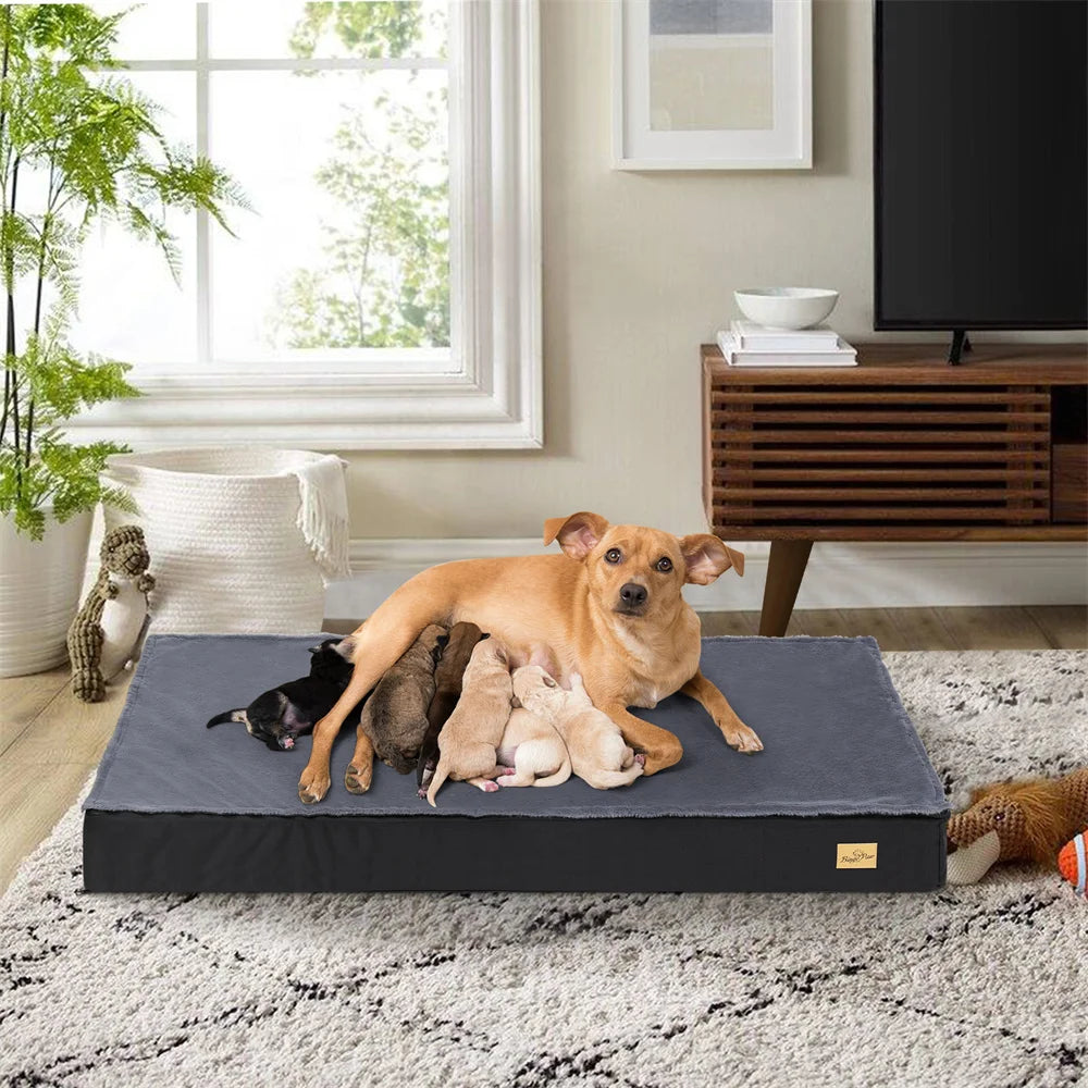 mousse orthopédique haute densite du lit imperméable BORWART pour chien
La chienne nourrit ses petits chiots sur le coussin orthopédique