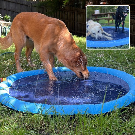 Piscine Arroseur pour Chien – Tapis Rafraîchissant Été 100 ou 150 cm - Noble Truffe