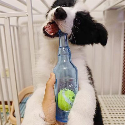 Jouet Chien | Bouteille Tennis Interactive