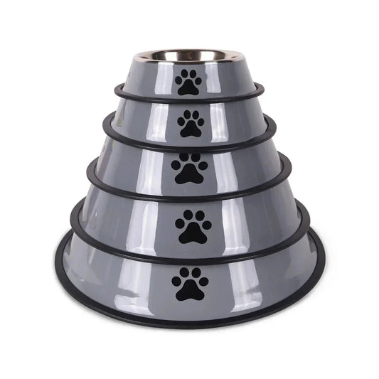 Comment Bien Choisir la Gamelle pour Son Chien ? (Guide Complet) - Noble Truffe