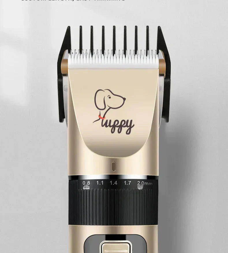 Comment Tondre Son Chien à la Maison : Le Guide Facile pour un Toilettage Réussi - Noble Truffe