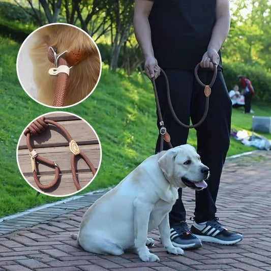 Laisse Lasso pour Chien : l’accessoire malin pour des promenades express - Noble Truffe