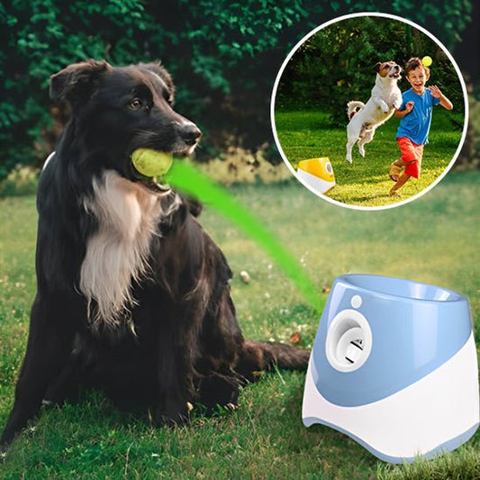 chien qui s'amuse a rattrapé une balle en vol lancé par le lanceur de balle automatique pour chien
