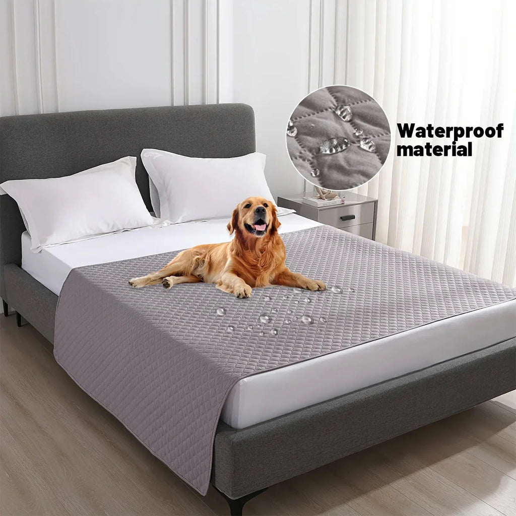 Coussin imperméable pour chien : confort sec et hygiène assurée
