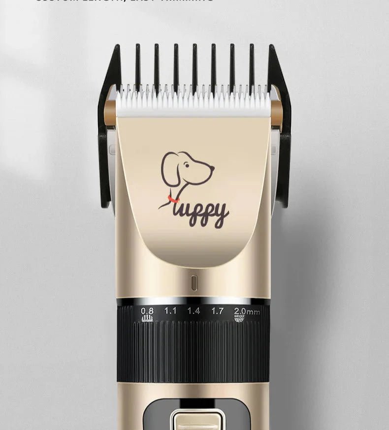 anté et Bien-Être pour Chien – Brosse, Tondeuse et Toilettage à Domicile - Noble Truffe