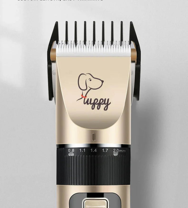 anté et Bien-Être pour Chien – Brosse, Tondeuse et Toilettage à Domicile - Noble Truffe