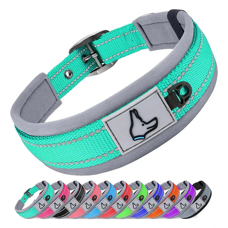 Collier réfléchissant exemple de toutes les couleurs disponibles
