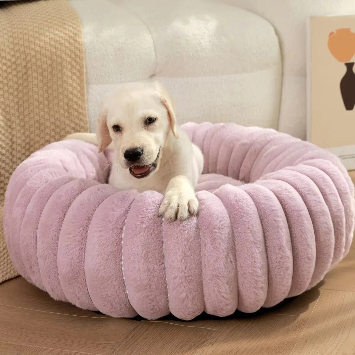 Coussin pour chien : douceur, soutien et confort à chaque sieste