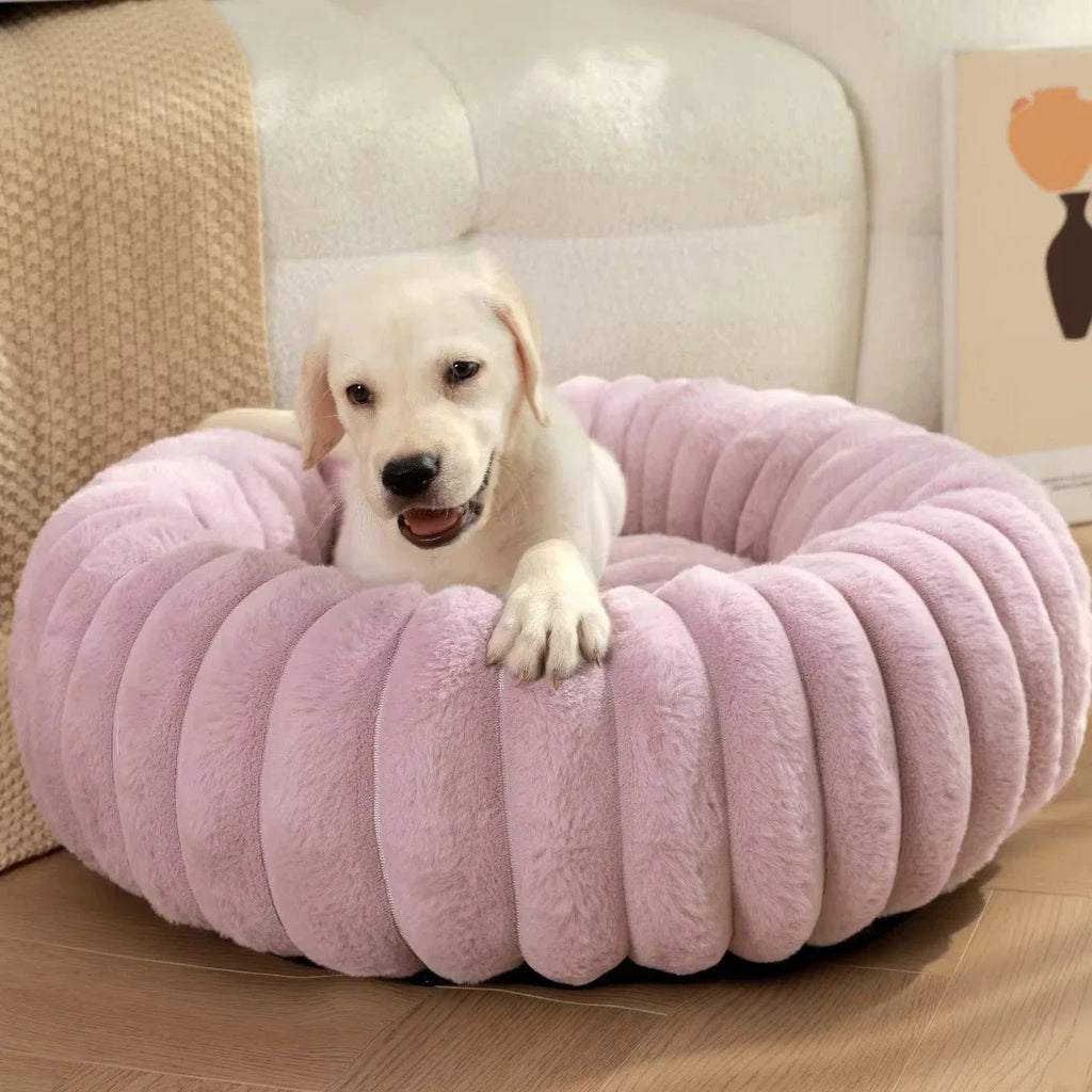 Coussin pour chien : douceur, soutien et confort à chaque sieste