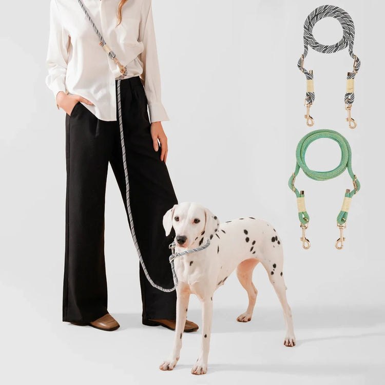 Dalmatiens, tenu en laisse par une laisse mains libres. 