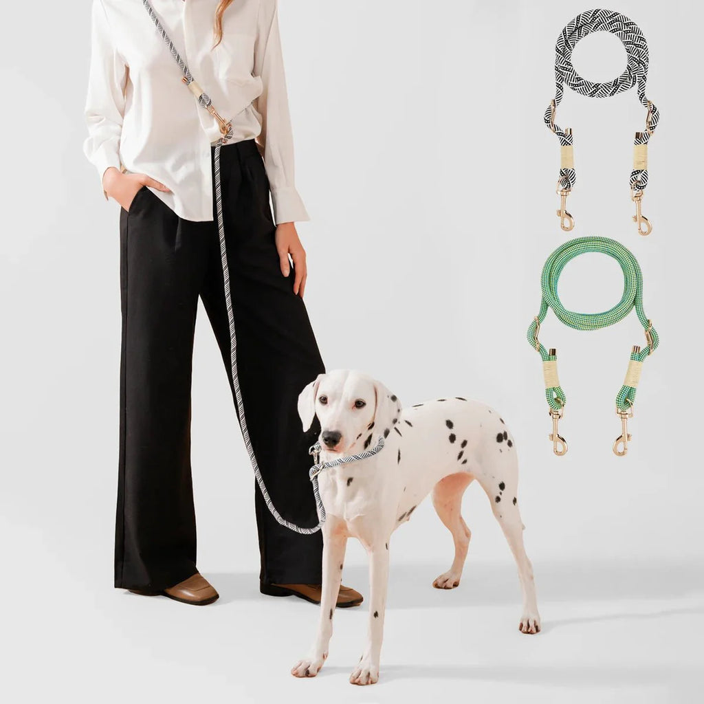 Dalmatiens, tenu en laisse par une laisse mains libres. 