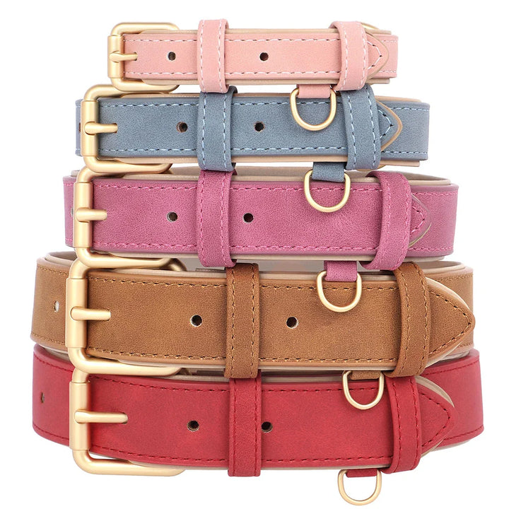 Collier pour chien
