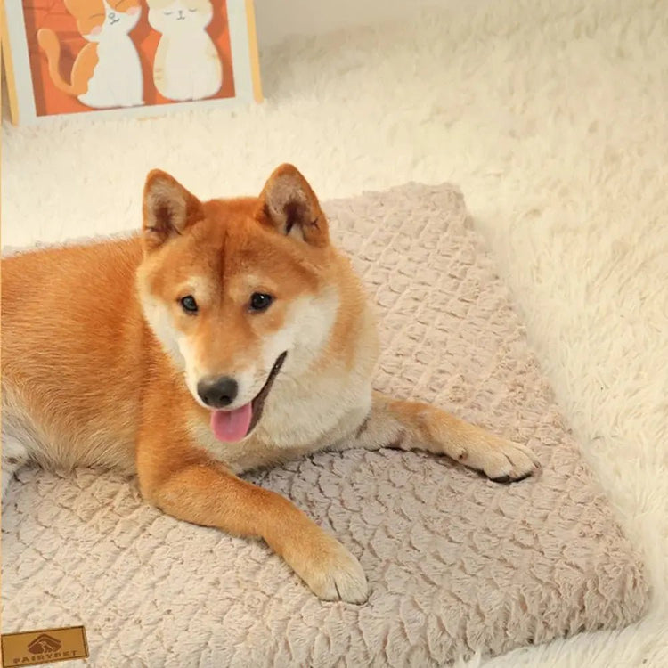 Lits et Coussins pour Chien – Confort, Fraîcheur et Bien-Être - Noble Truffe