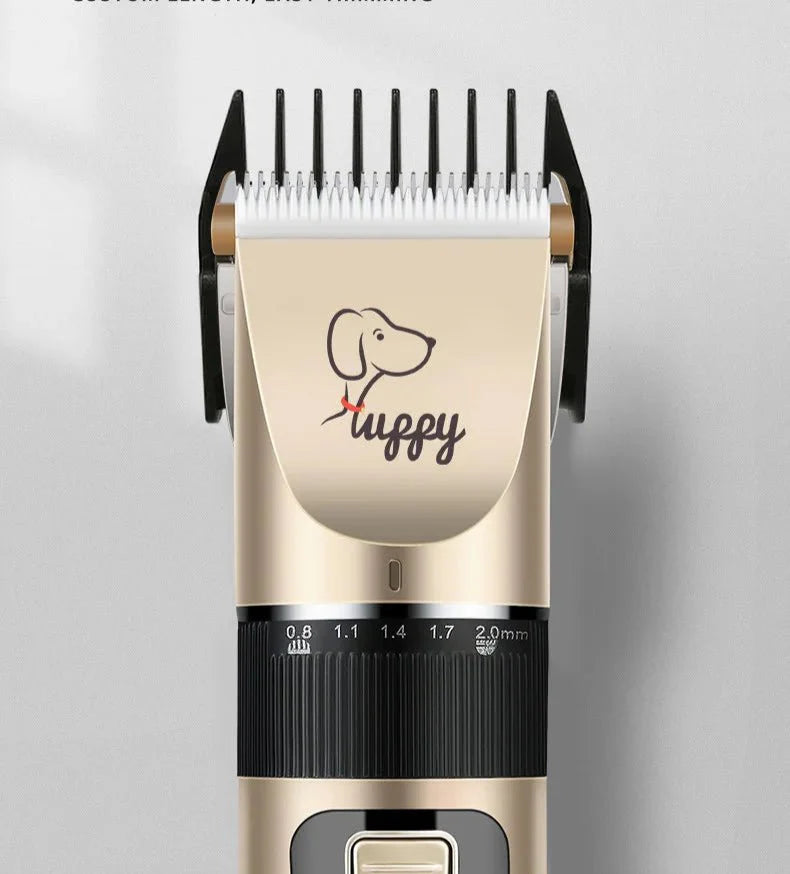 Toilettage pour chien : prenez soin de son pelage et de son bien-être