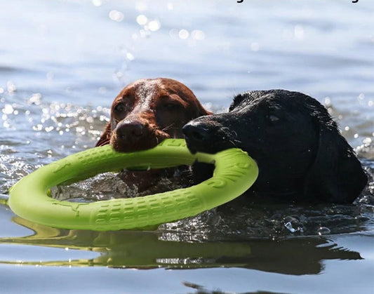 Jouet AeroTruffe™ flottant sur l’eau, parfait pour les jeux aquatiques avec votre chien.