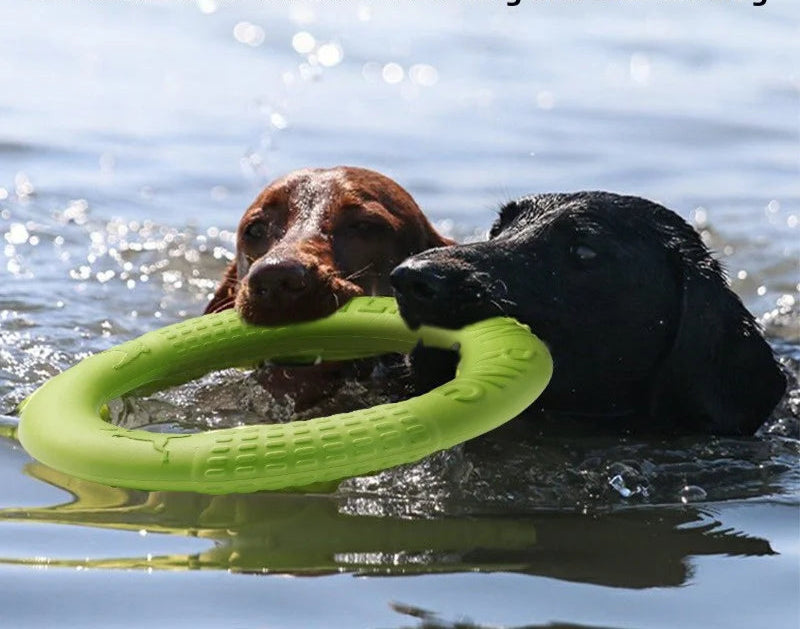 Jouet AeroTruffe™ flottant sur l’eau, parfait pour les jeux aquatiques avec votre chien.