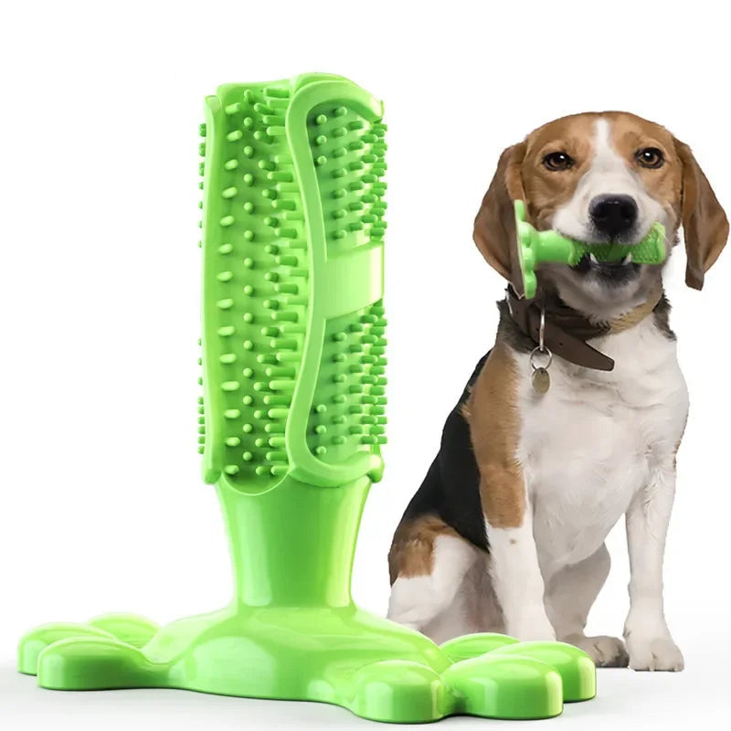 Jouet vert pour l’hygiène bucco-dentaire du chien, brosse à dents à mâcher pour chien toute taille