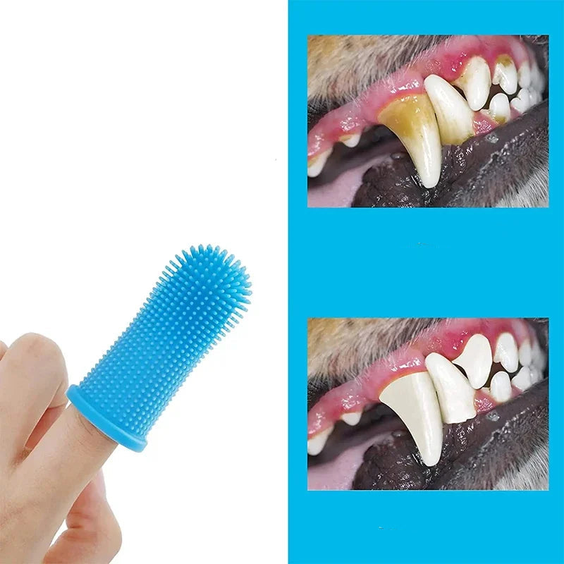Démonstration du brossage des dents avec modèle bleu. Nettoie et masse les gencives efficacement.