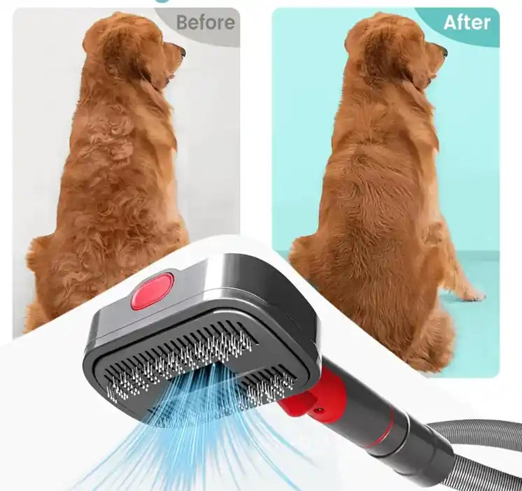brosse pour chien connectée à un aspirateur Dyson V7 V8 V10 V11 V12  V15. Exemple avant, après le brossage d'un Golden retriever.  