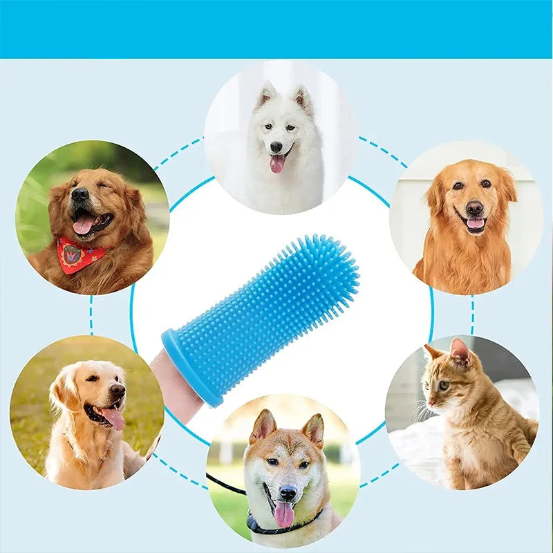 Brosse à dents bleue avec illustration de races de chiens. Convient à tous les gabarits.