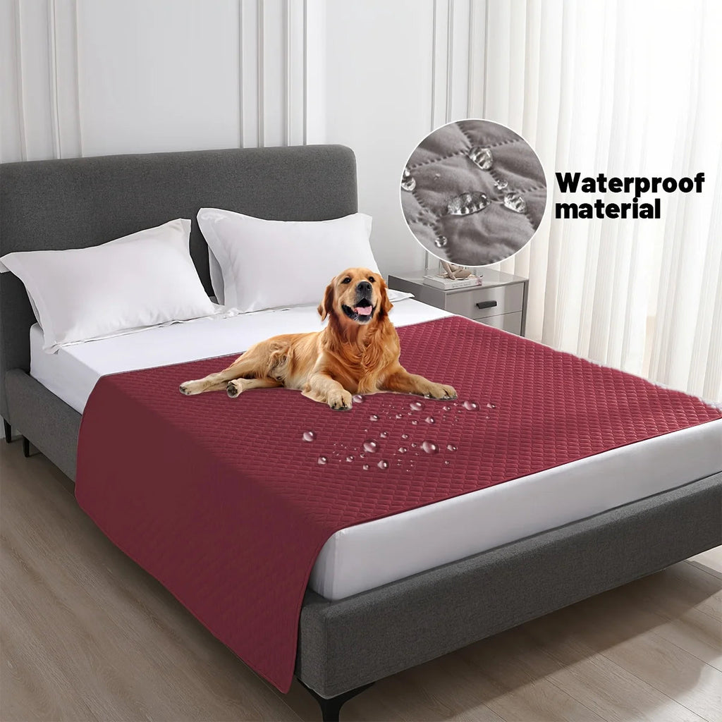 Plaid imperméable pour chien sur canape clair, facile a nettoyer
