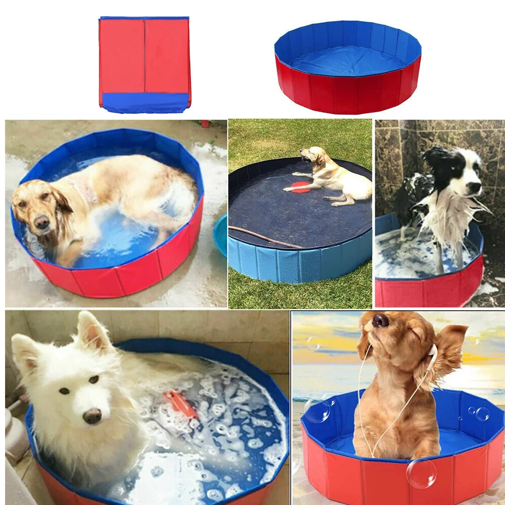 Chien qui s’amuse dans sa piscine pliable. Rafraîchissante et résistante pour l’été, à utiliser en jardin ou terrasse.