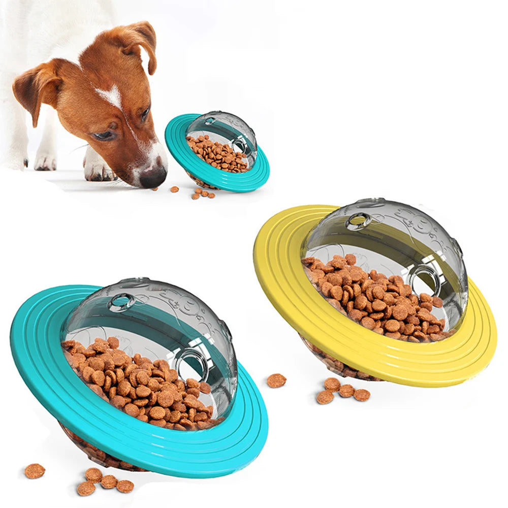 Chien reniflant deux balles distributeur de friandises, une bleue et une jaune, parfaites pour ralentir l’alimentation.