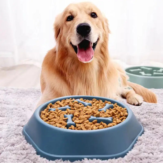 Chien (labrador) heureux utilisant une gamelle anti glouton pour une alimentation plus lente