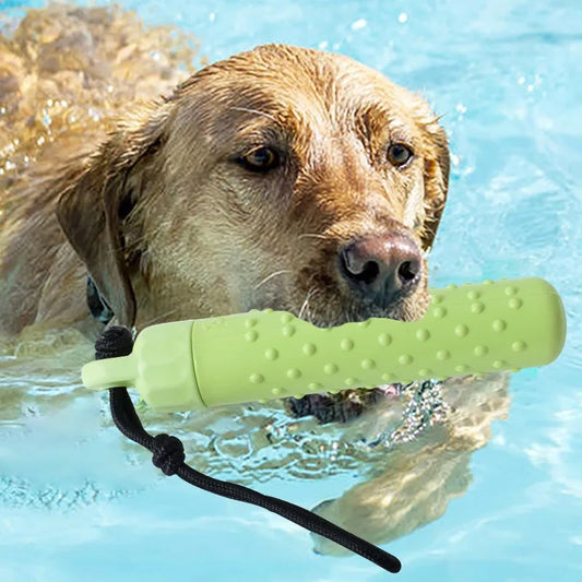 Chien dans une piscine tenant un jouet de lancer flottant vert dans la gueule