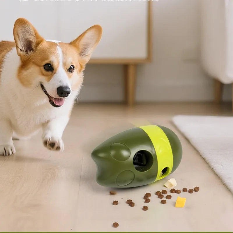 Un chien s’amuse avec le jouet vert qui distribue des croquettes au sol. Il a l'air heureux et épanoui. 