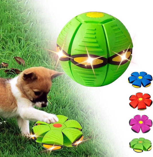 Chiot qui appuie sur une balle frisbee verte pour chien transformable en forme de fleur