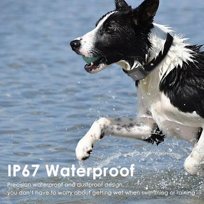 Ce collier GPS est waterproof avec une IP 67, les chiens peuvent donc se baigner avec et toujours être localisés. 