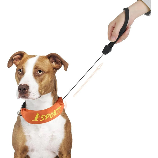 Chien en promenade avec un collier orange équipé d’une laisse intégrée rétractable