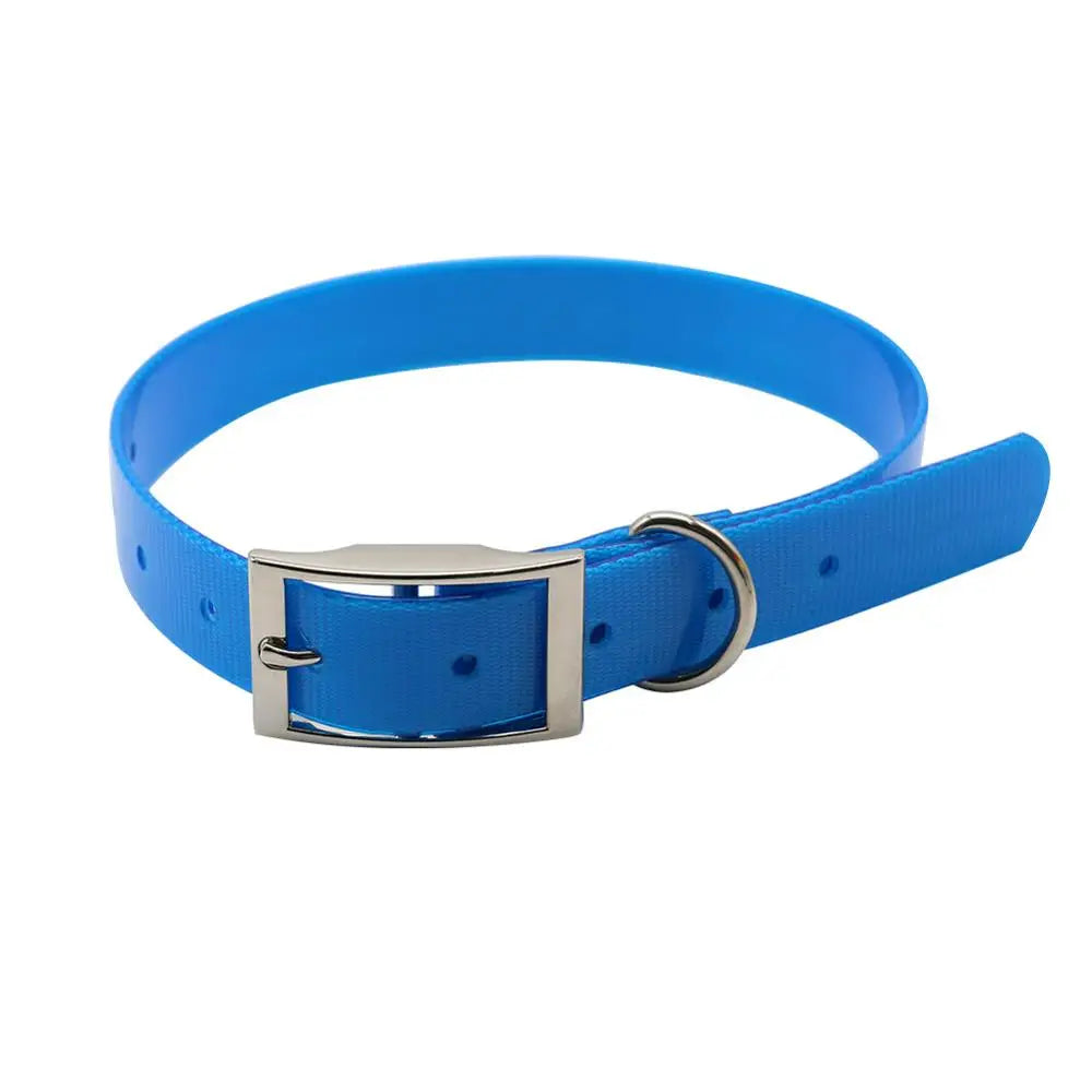 Collier bleu clair pour chien, imperméable et résistant aux activités extérieures