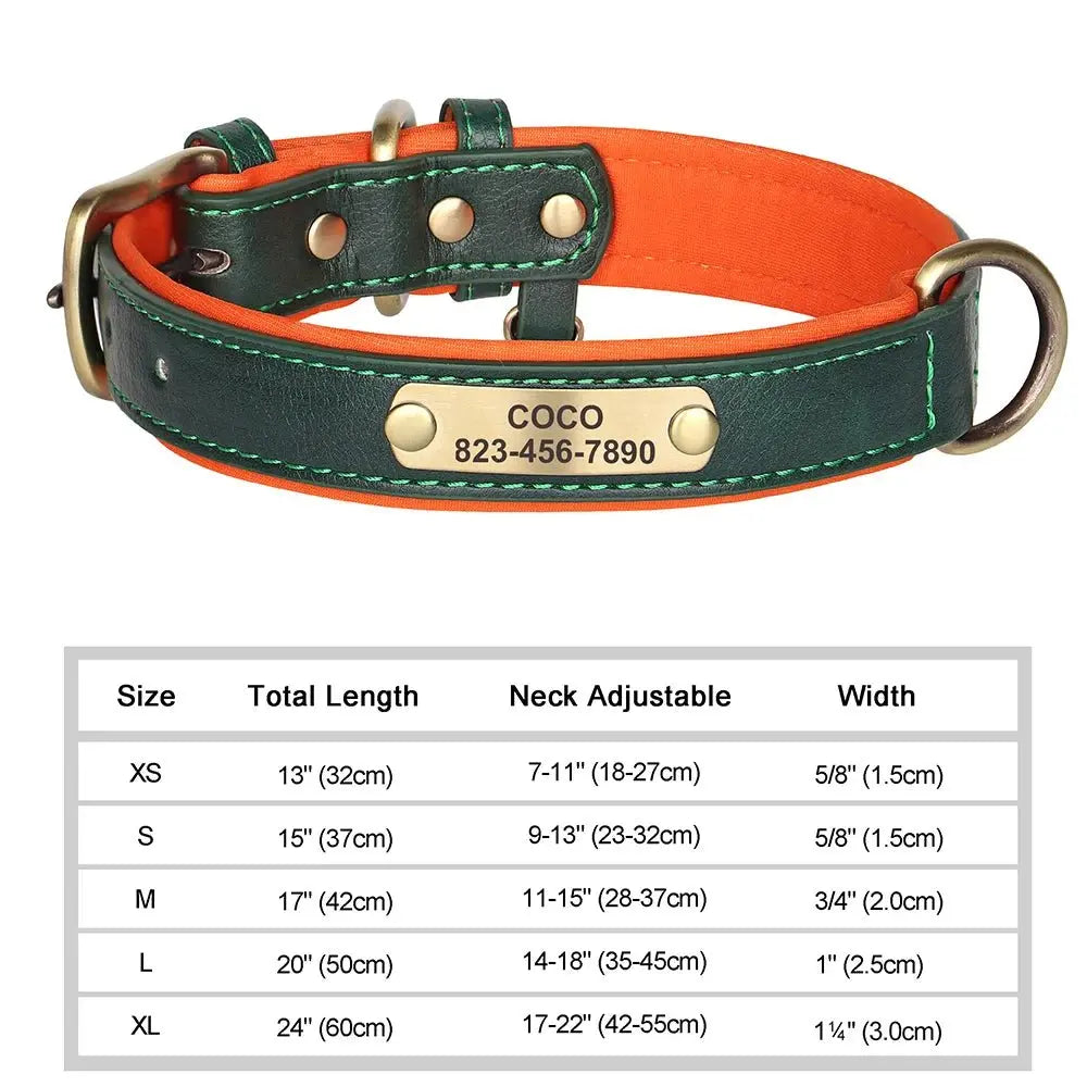 Collier personnalisé pour chien avec prénom et taille ajustable