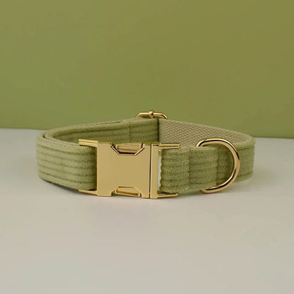 collier pour chien personnalisé avec boucle en métal doré et plaque gravée, ajustable et confortable.