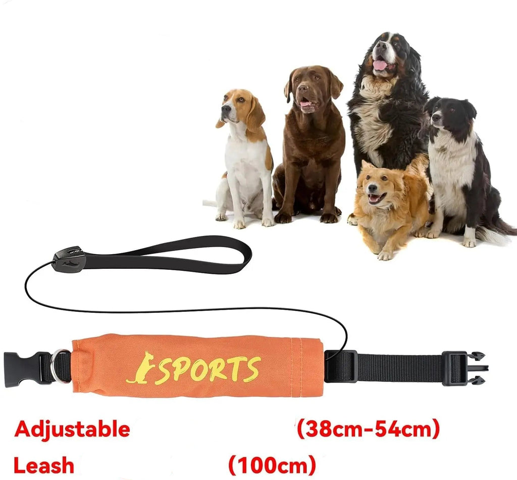Guide des tailles pour collier avec laisse intégrée, ajustable de 38 à 54 cm