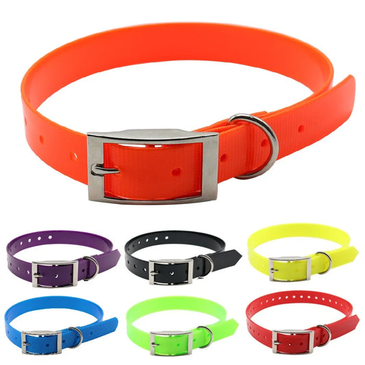 Collier orange imperméable pour chien avec boucle métallique solide, facile à nettoyer