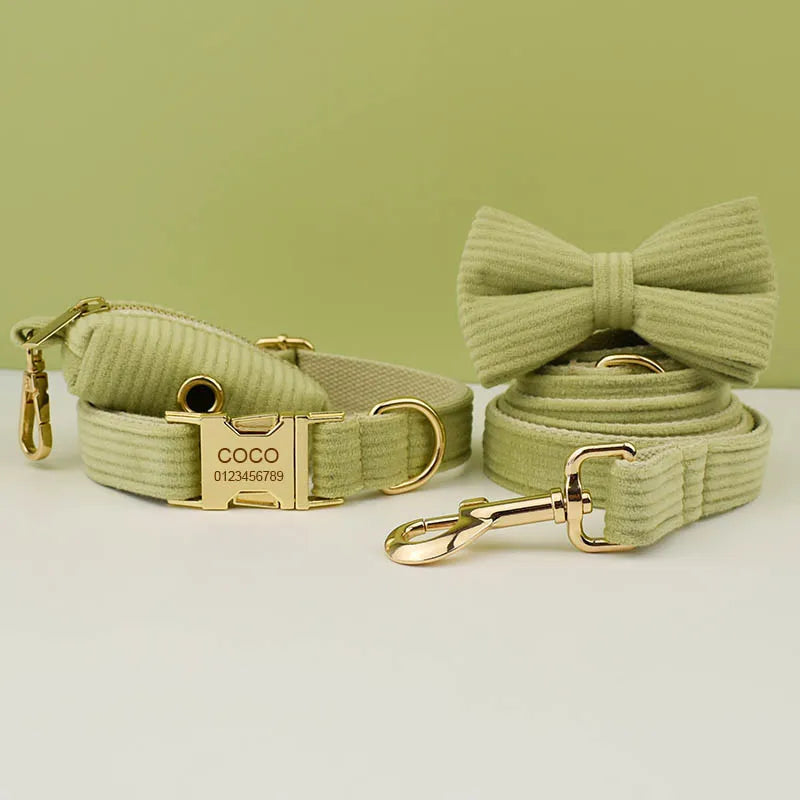 collier personnalisé pour chien avec gravure prénom et numéro, boucle métal, laisse assortie et nœud papillon
Magnifique pack vert velour