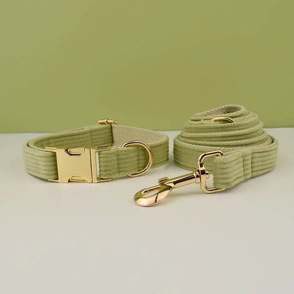 Collier personnalisé pour chien avec gravure gratuite, boucle métal solide et laisse assortie
Chien qui cours heureux avec son maître