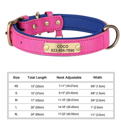 Collier gravé pour chien couleur rose clair et bleu – cuir PU