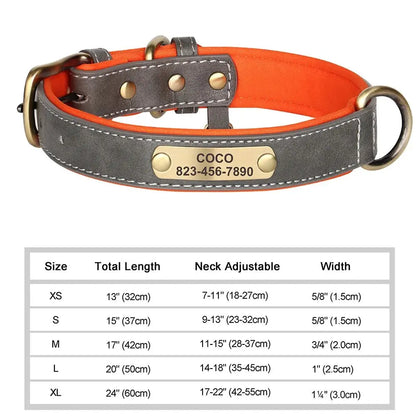 Collier pour Chien Prénom Personnalisé. Pour Petit et Moyen Chien - Gravure sur plaque incluse - Noble Truffe