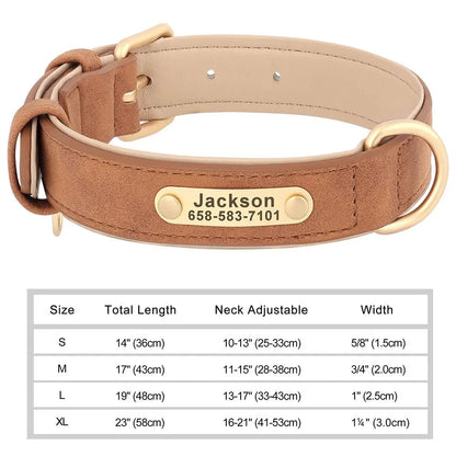 Collier pour Chien Prénom Personnalisé. Pour Petit et Moyen Chien - Gravure sur plaque incluse - Noble Truffe
