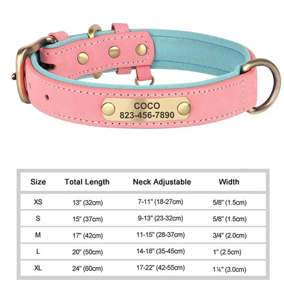 Collier pour Chien Prénom Personnalisé. Pour Petit et Moyen Chien - Gravure sur plaque incluse - Noble Truffe