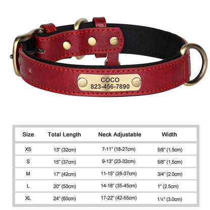 Collier pour Chien Prénom Personnalisé. Pour Petit et Moyen Chien - Gravure sur plaque incluse - Noble Truffe