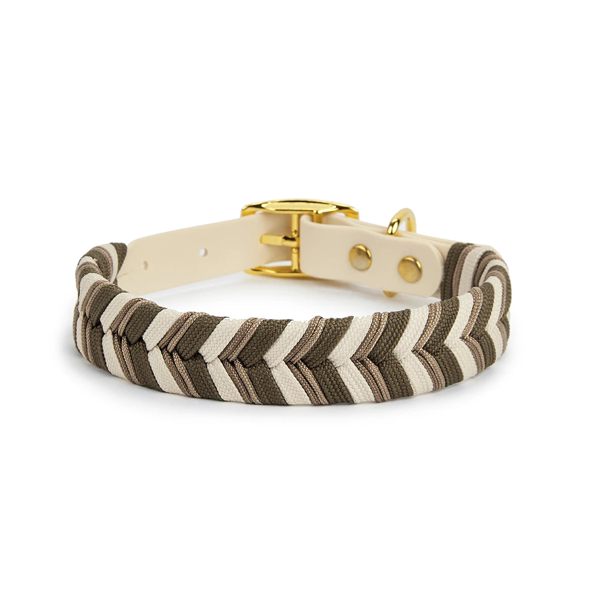 Collier coloré pour chien en beige clair – boucle dorée élégante