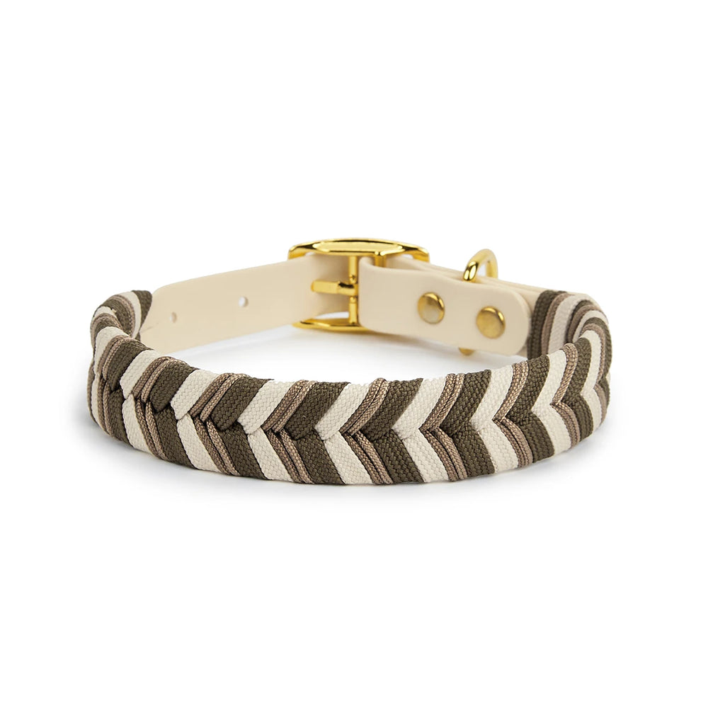Collier coloré pour chien en beige clair – boucle dorée élégante