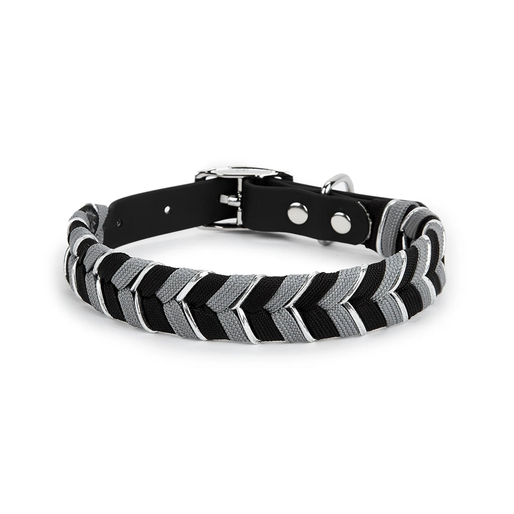 Collier tressé noir et blanc pour chien – style élégant et sobre